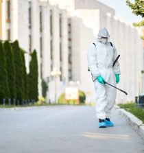 Fumigaciones en Madrid